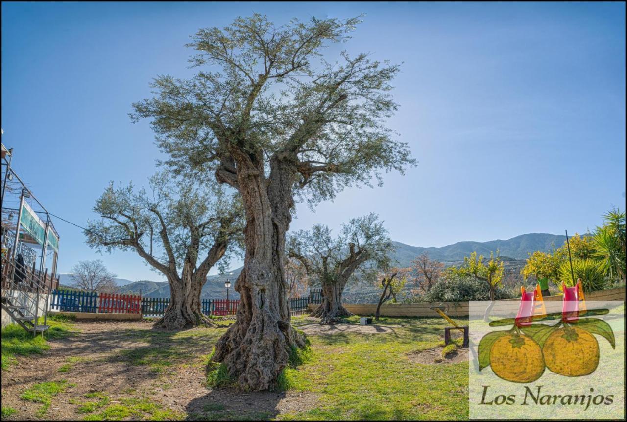 Hostal Y Apartamento Rural Los Naranjos Melegis Ngoại thất bức ảnh