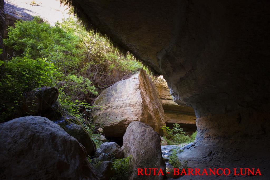 Hostal Y Apartamento Rural Los Naranjos Melegis Ngoại thất bức ảnh