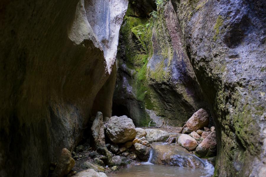 Hostal Y Apartamento Rural Los Naranjos Melegis Ngoại thất bức ảnh