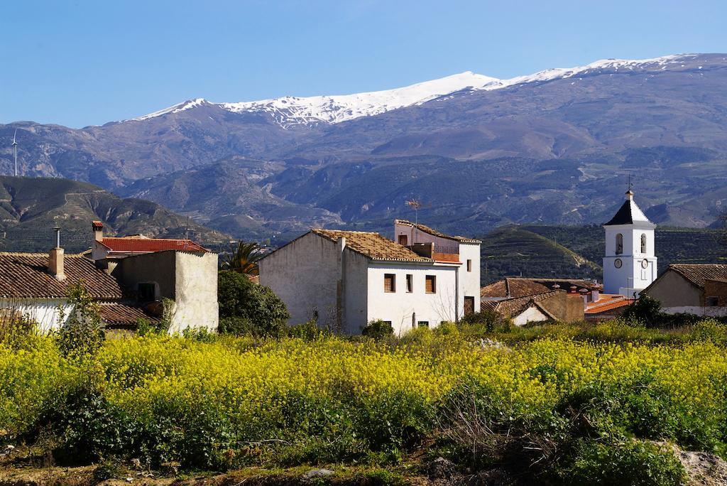 Hostal Y Apartamento Rural Los Naranjos Melegis Ngoại thất bức ảnh