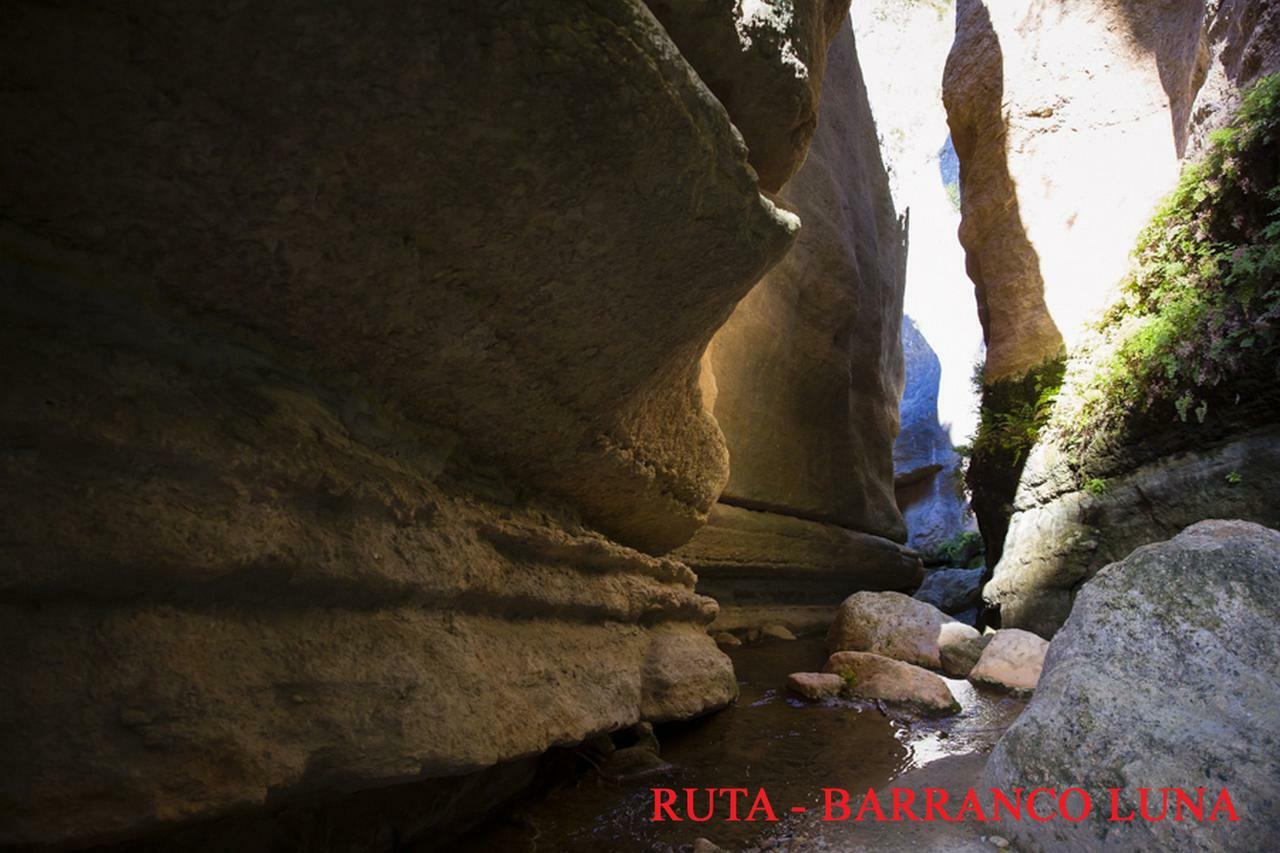 Hostal Y Apartamento Rural Los Naranjos Melegis Phòng bức ảnh